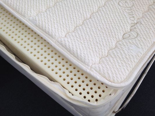 Electropedic Irvine 7 Inch Latex Mattress